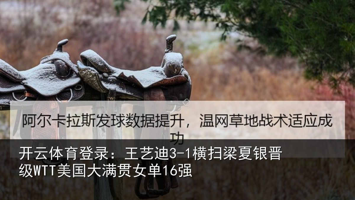 开云体育登录:王艺相关情况WTT美国大满贯女单16强