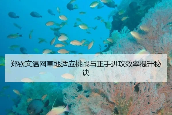 郑钦文温网草地适应挑战与正手进攻效率提升秘诀